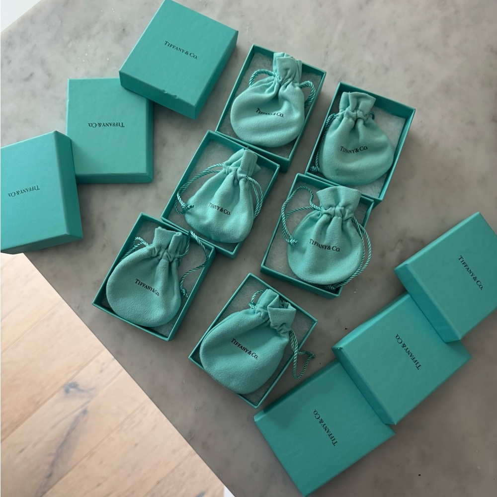 Tiffany & Co. Signature Blue Drawstring Pouch